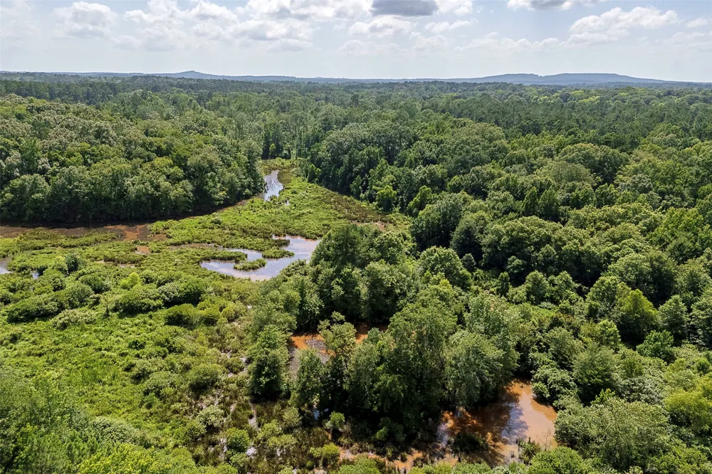 County Road 950 Cushing, TX 75760