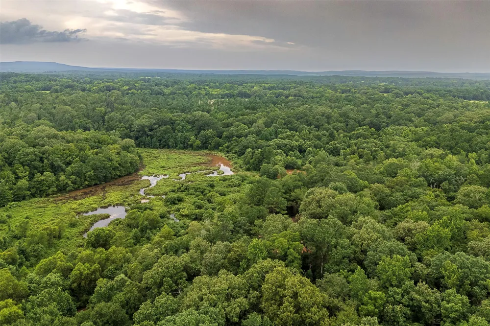 County Road 950 Cushing, TX 75760
