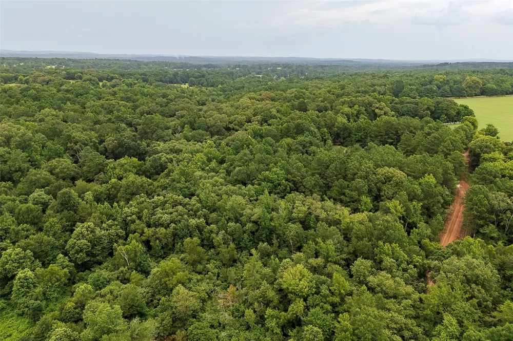 County Road 950 Cushing, TX 75760