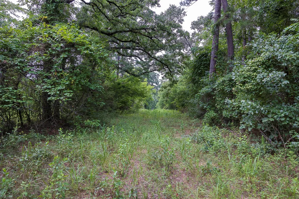 County Road 950 Cushing, TX 75760