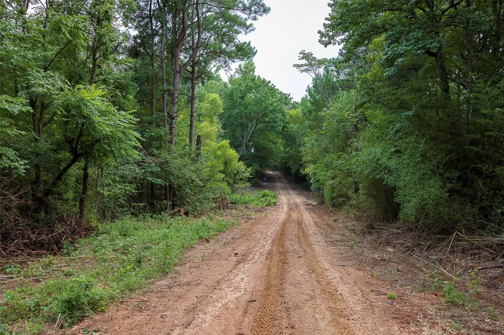 County Road 950 Cushing, TX 75760