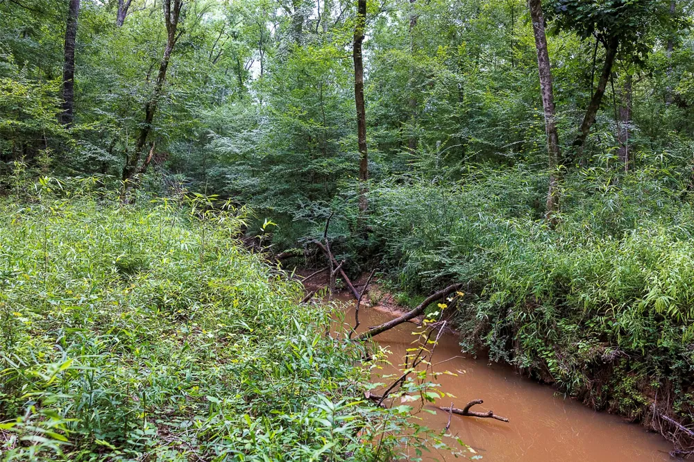 County Road 950 Cushing, TX 75760