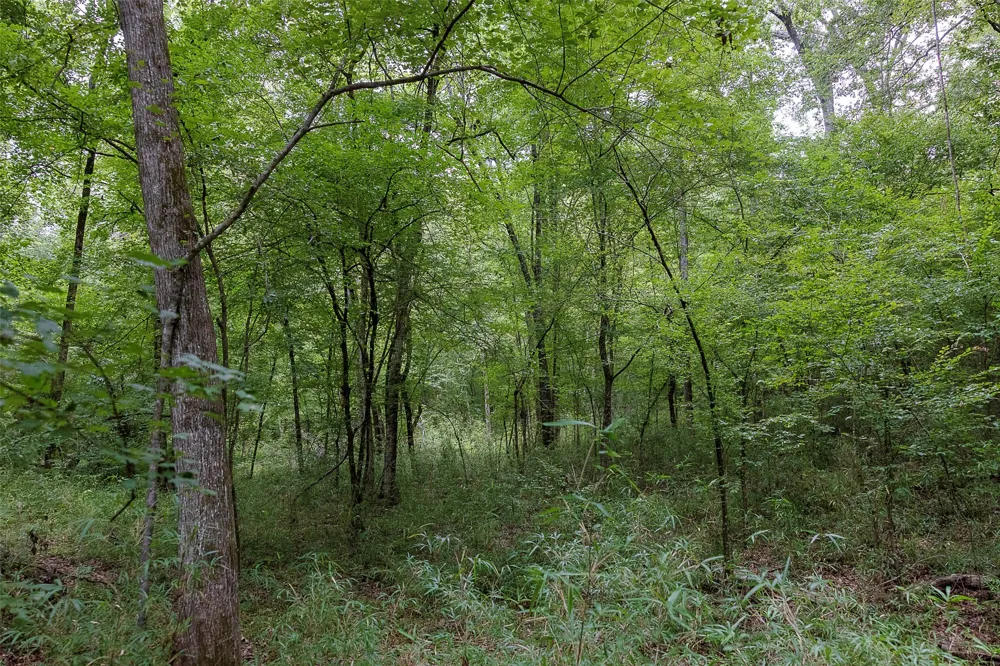 County Road 950 Cushing, TX 75760