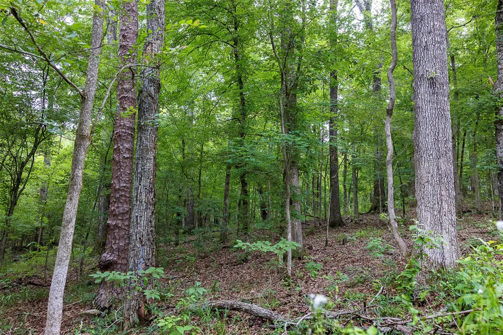County Road 950 Cushing, TX 75760