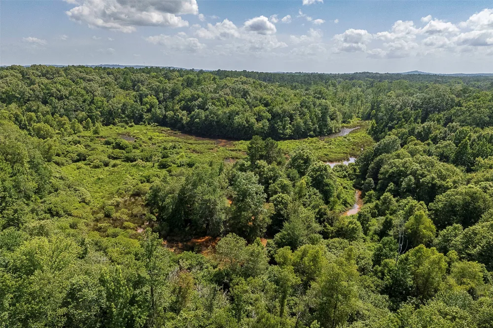 County Road 950 Cushing, TX 75760