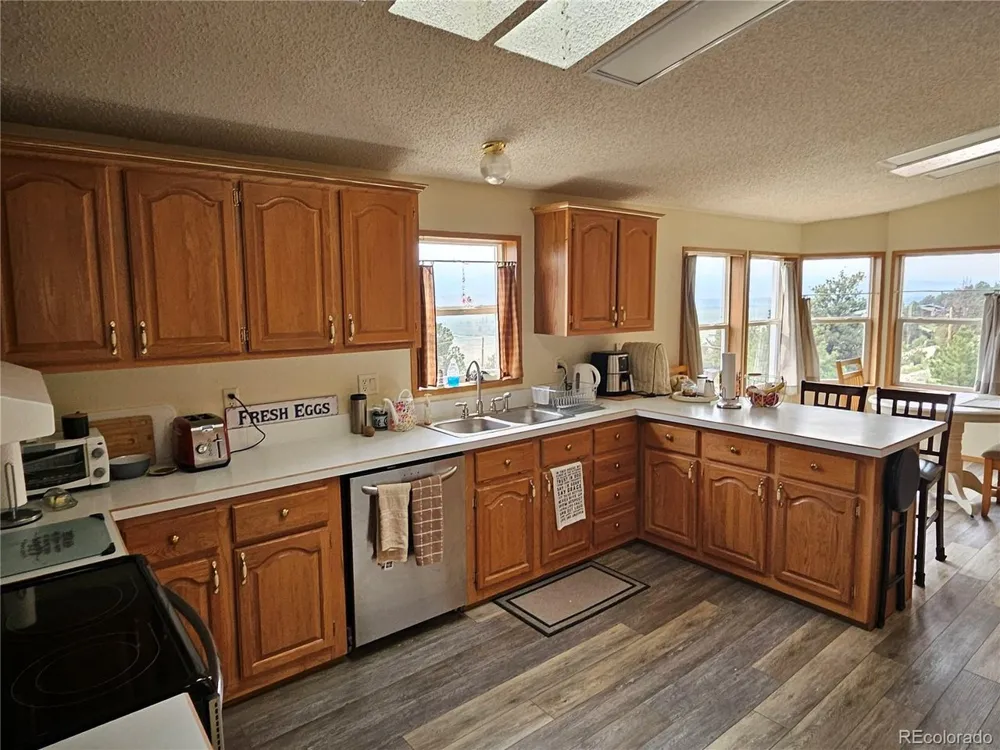 462 Bonell Drive Fairplay, CO 80440