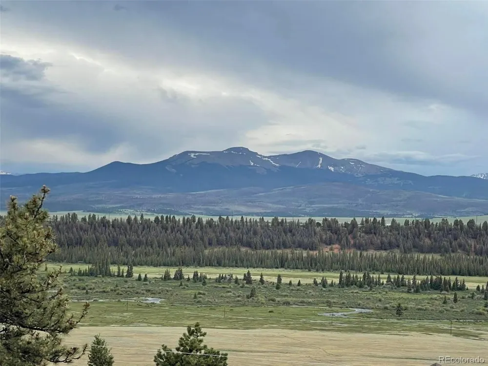 462 Bonell Drive Fairplay, CO 80440