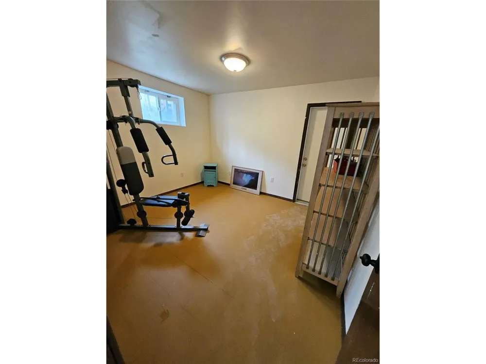 462 Bonell Drive Fairplay, CO 80440