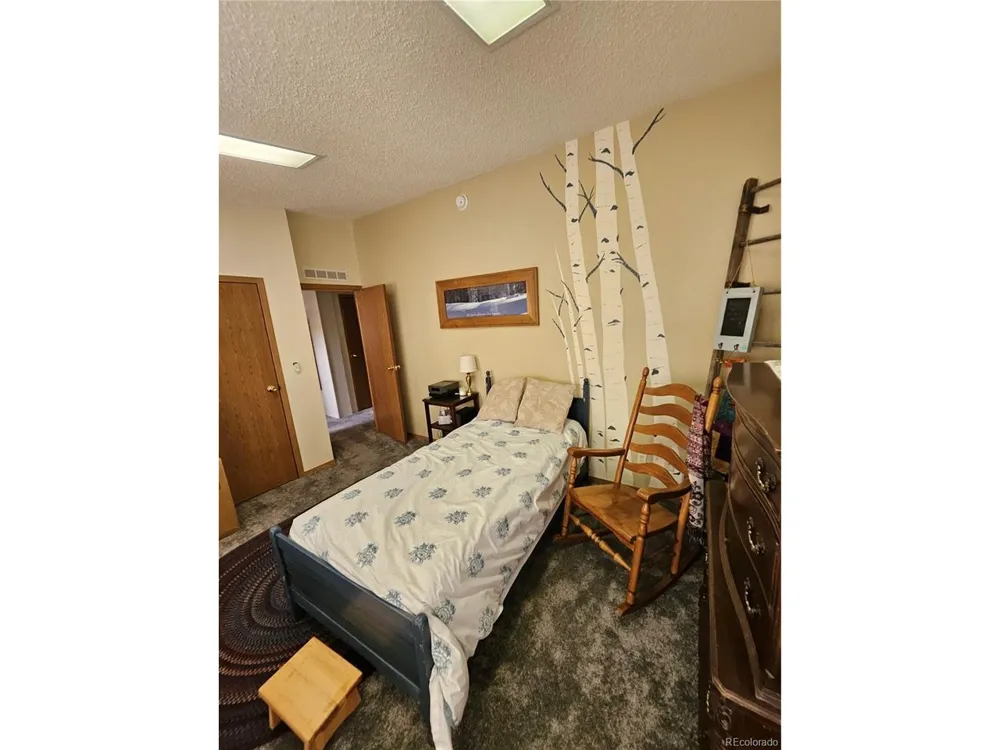 462 Bonell Drive Fairplay, CO 80440