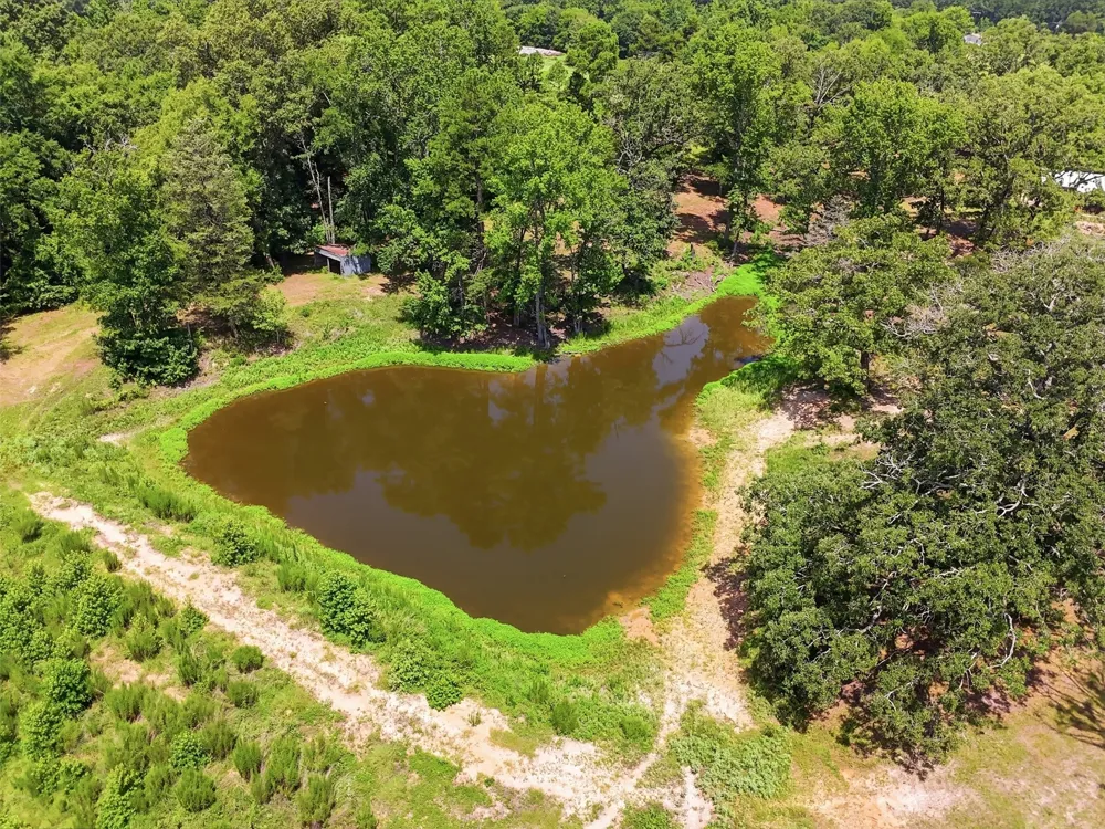 159 County Road 3195 Winnsboro, TX 75494