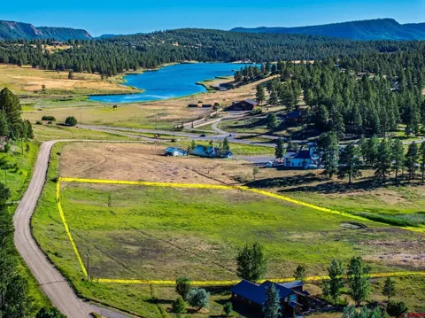 202 Pineview