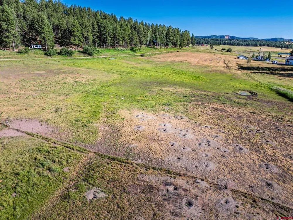 202 Pineview Pagosa Springs, CO 81147