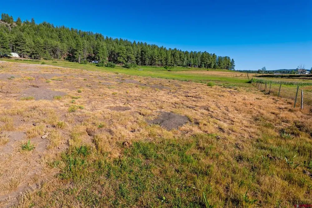 202 Pineview Pagosa Springs, CO 81147
