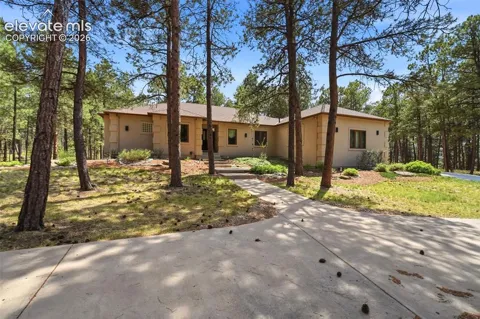 3925 Wavy Oak Drive