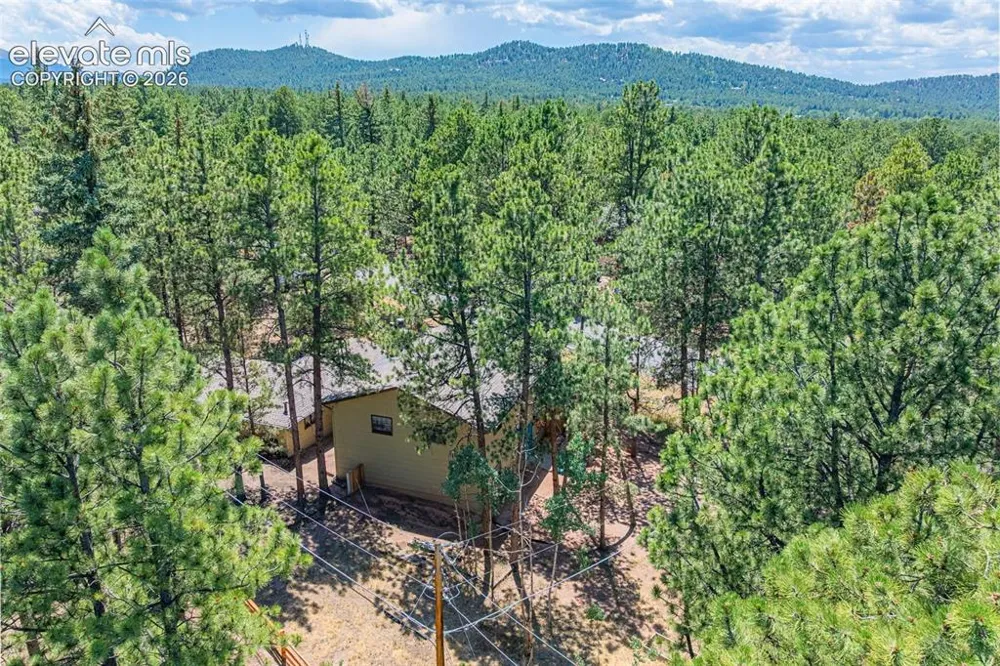 917 Centre Camino Woodland Park, CO 80863