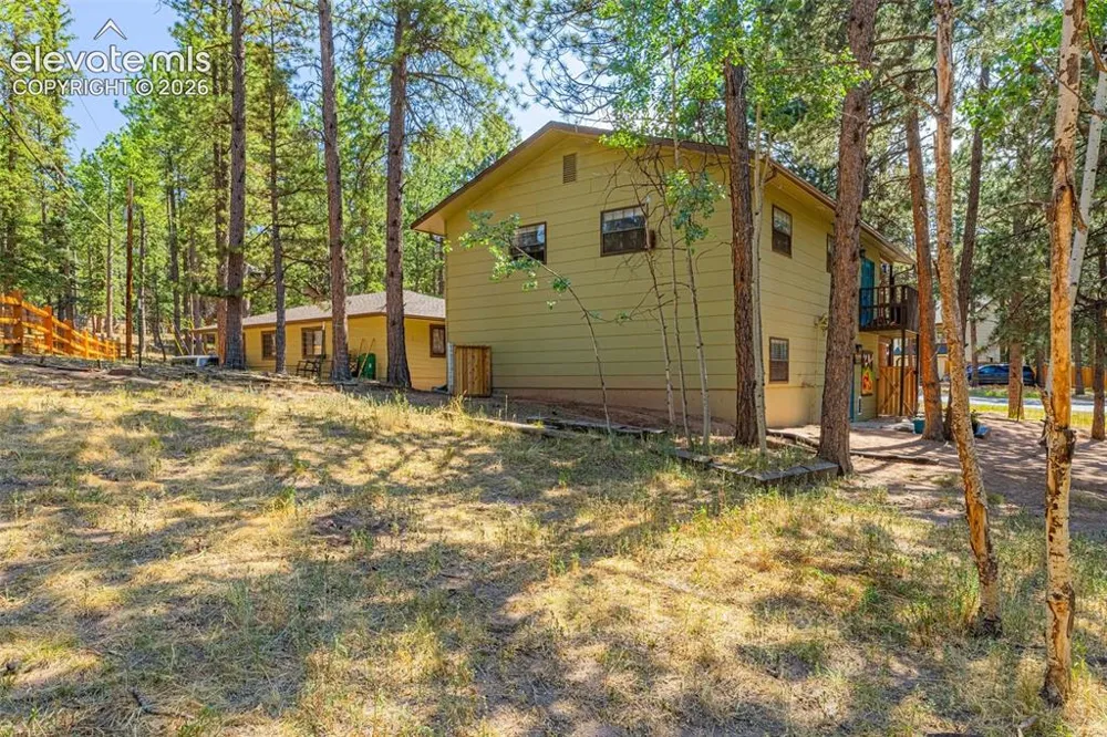 917 Centre Camino Woodland Park, CO 80863