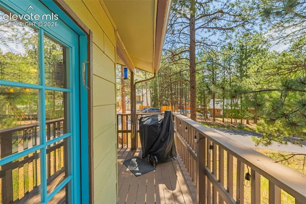 917 Centre Camino Woodland Park, CO 80863