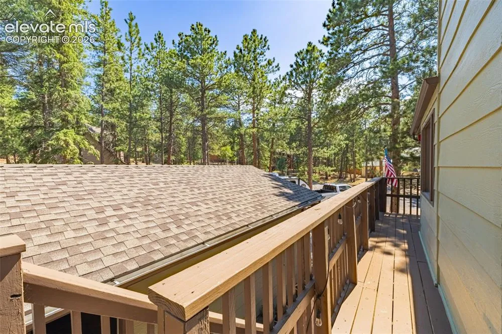 917 Centre Camino Woodland Park, CO 80863