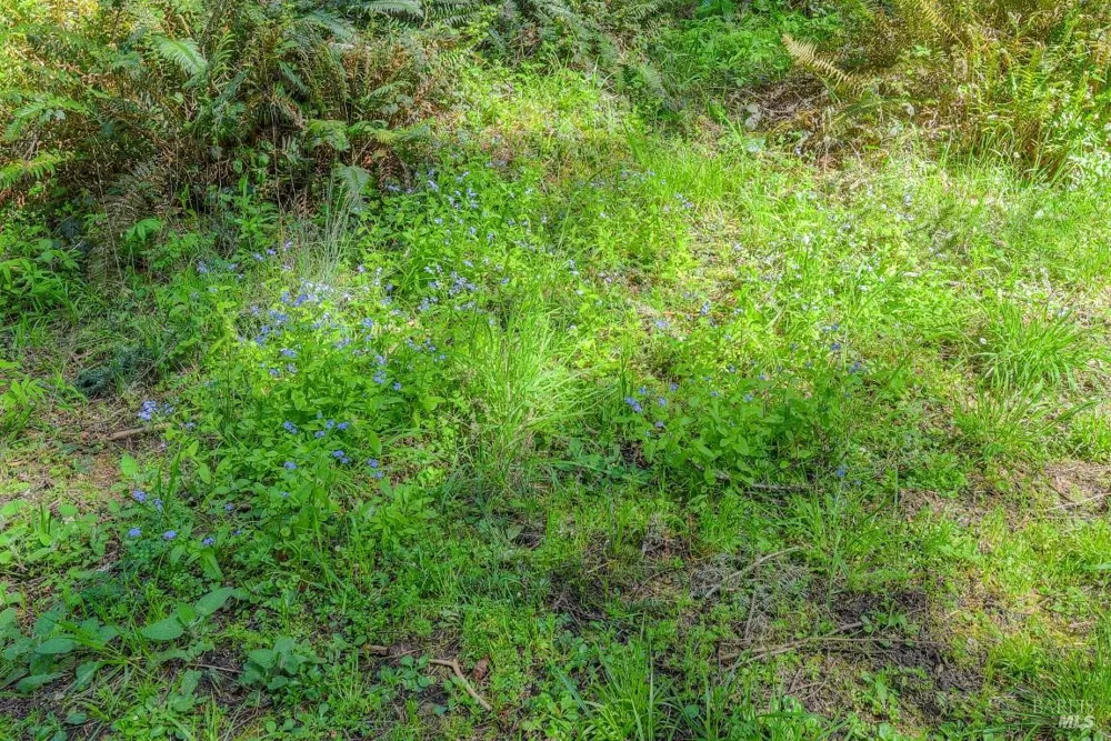 35205 Fly Cloud Road The Sea Ranch, CA 95497