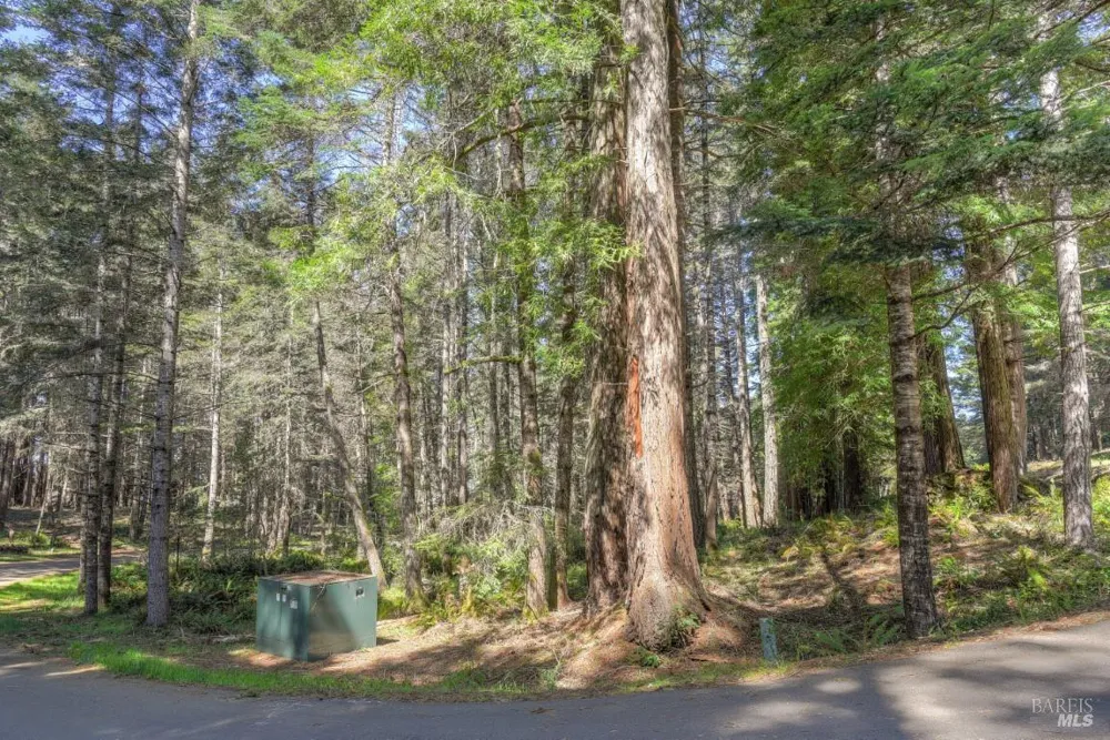 35205 Fly Cloud Road The Sea Ranch, CA 95497