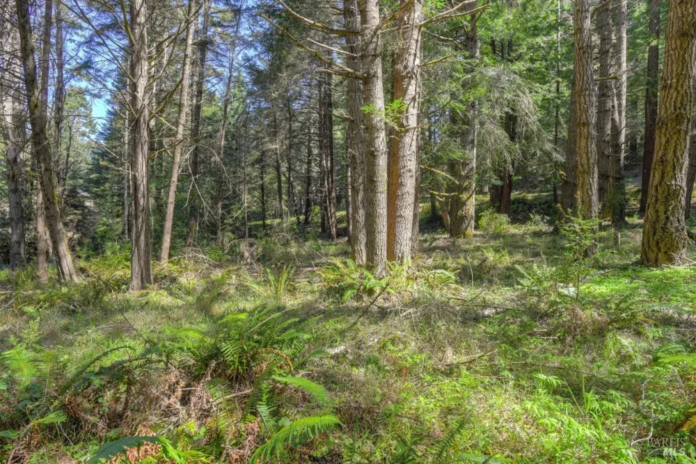 35205 Fly Cloud Road The Sea Ranch, CA 95497