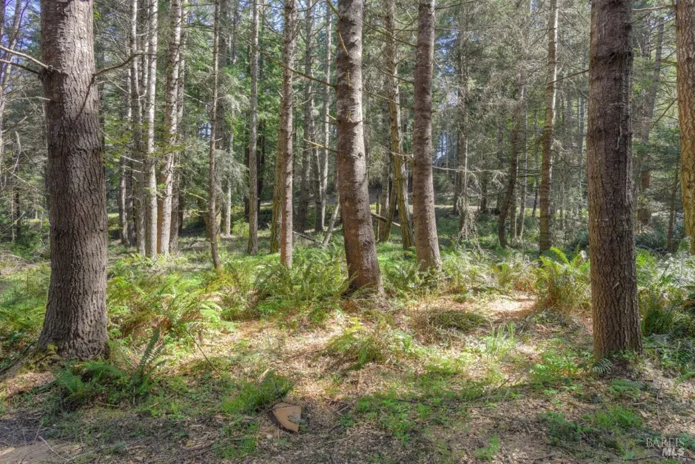 35205 Fly Cloud Road The Sea Ranch, CA 95497