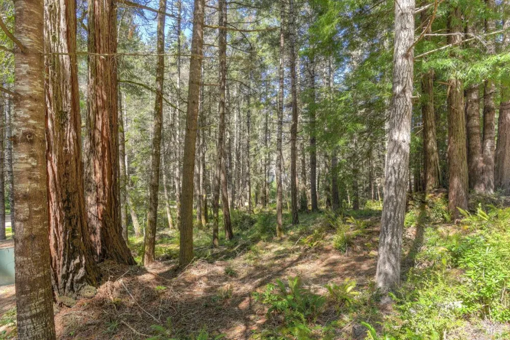 35205 Fly Cloud Road The Sea Ranch, CA 95497