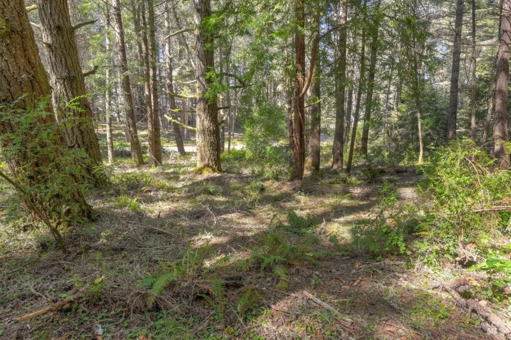 35205 Fly Cloud Road The Sea Ranch, CA 95497