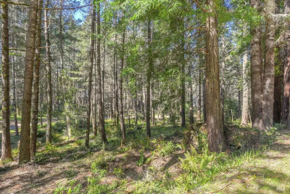 35205 Fly Cloud Road The Sea Ranch, CA 95497