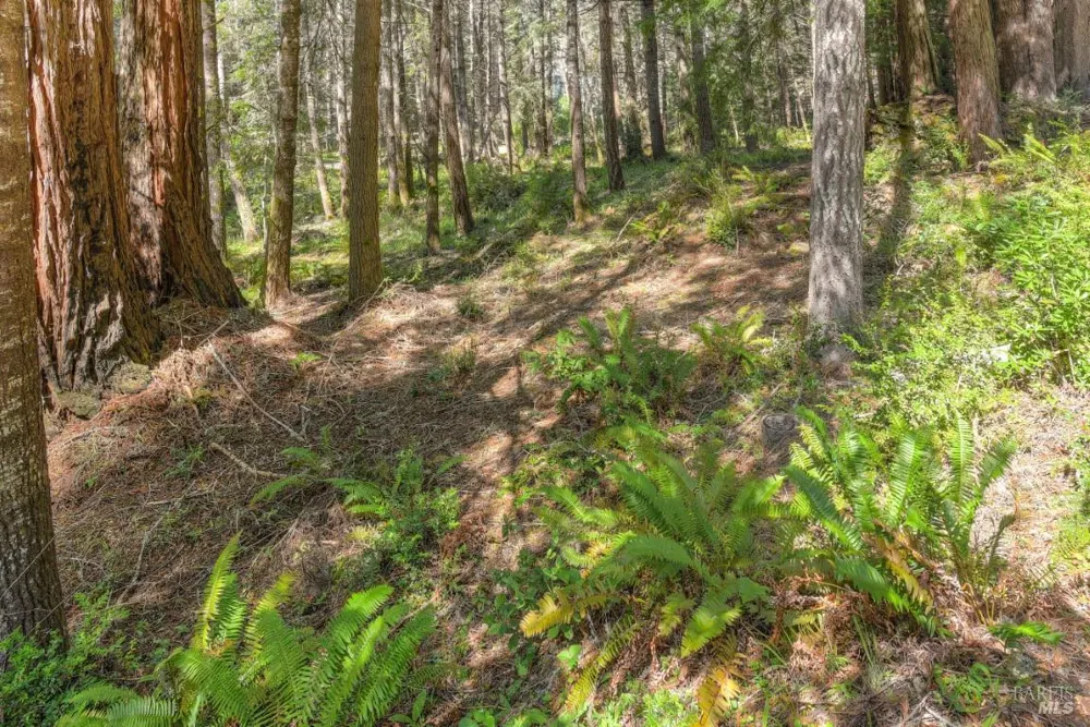 35205 Fly Cloud Road The Sea Ranch, CA 95497