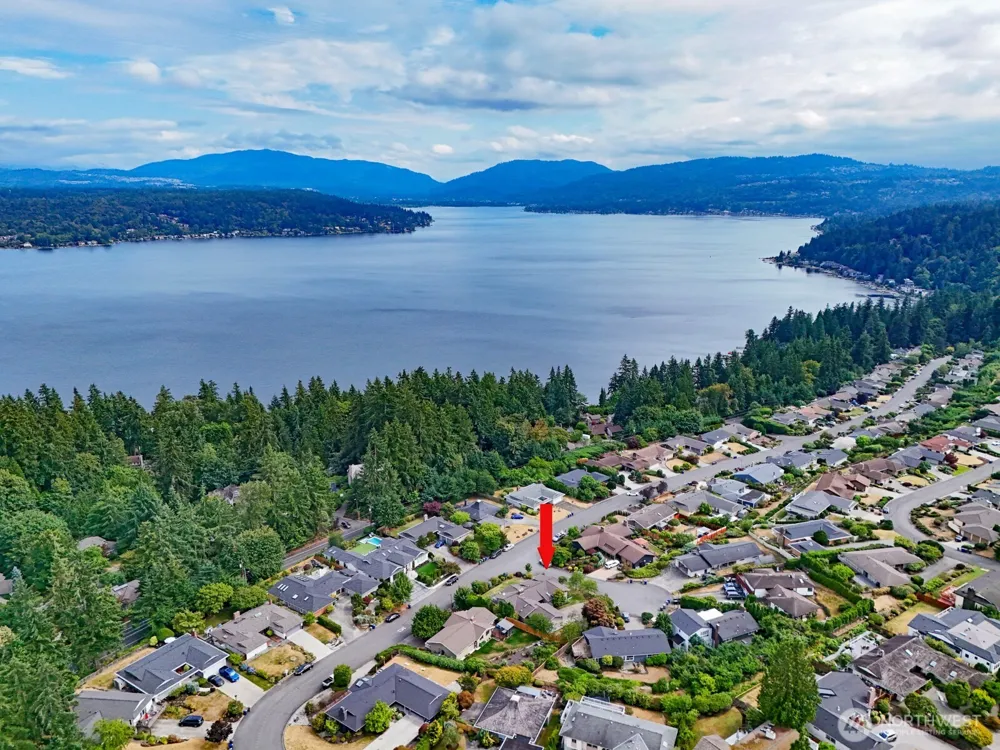 17236 NE 6th Place Bellevue, WA 98008
