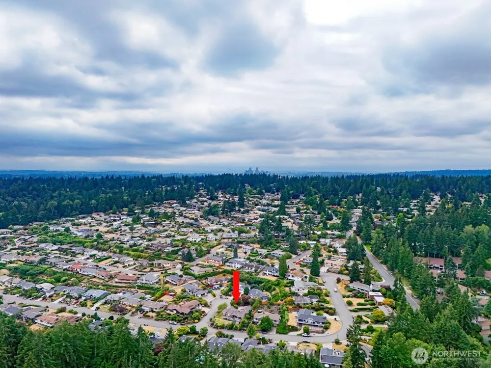 17236 NE 6th Place Bellevue, WA 98008