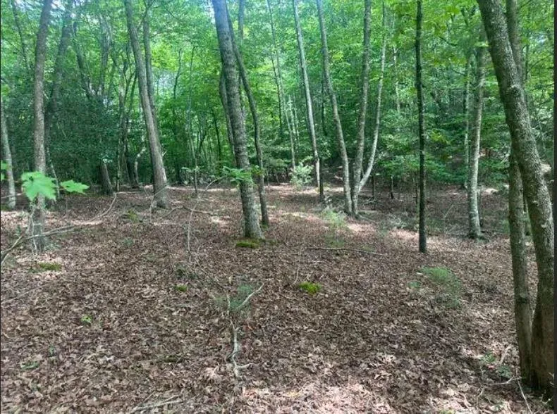 2 Thunder Road Hayesville, NC 28904