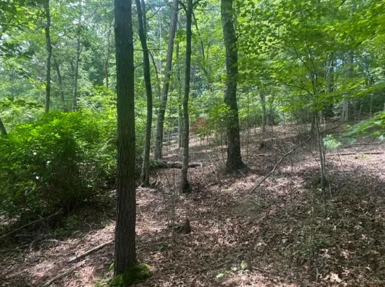 2 Thunder Road Hayesville, NC 28904