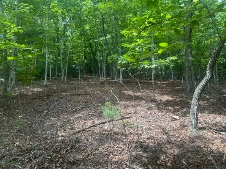 2 Thunder Road Hayesville, NC 28904