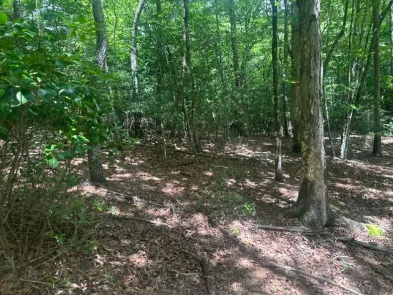 2 Thunder Road Hayesville, NC 28904