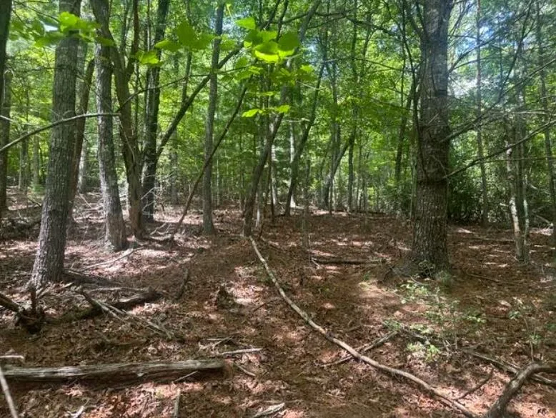 2 Thunder Road Hayesville, NC 28904