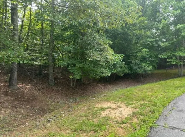 2 Thunder Road Hayesville, NC 28904