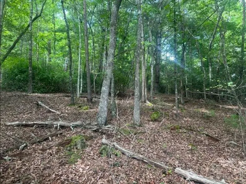 2 Thunder Road Hayesville, NC 28904