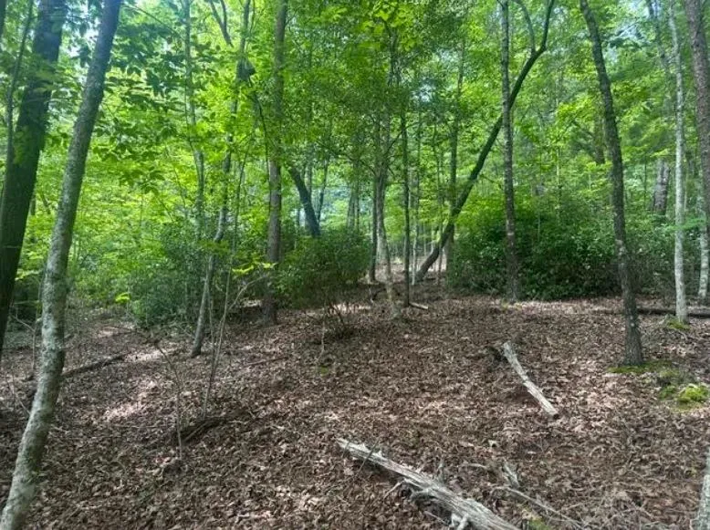 2 Thunder Road Hayesville, NC 28904