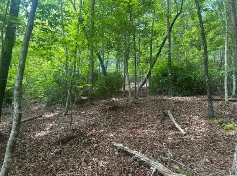 2 Thunder Road Hayesville, NC 28904
