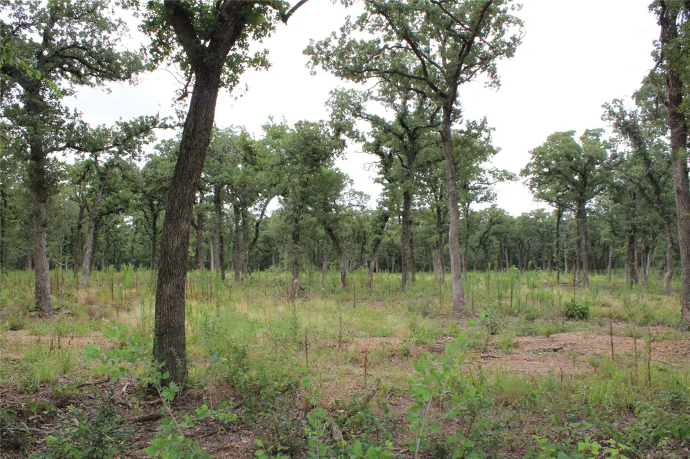 Tokio Loop West, TX 76691