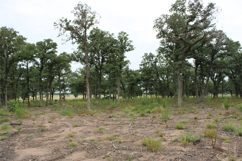 Tokio Loop West, TX 76691