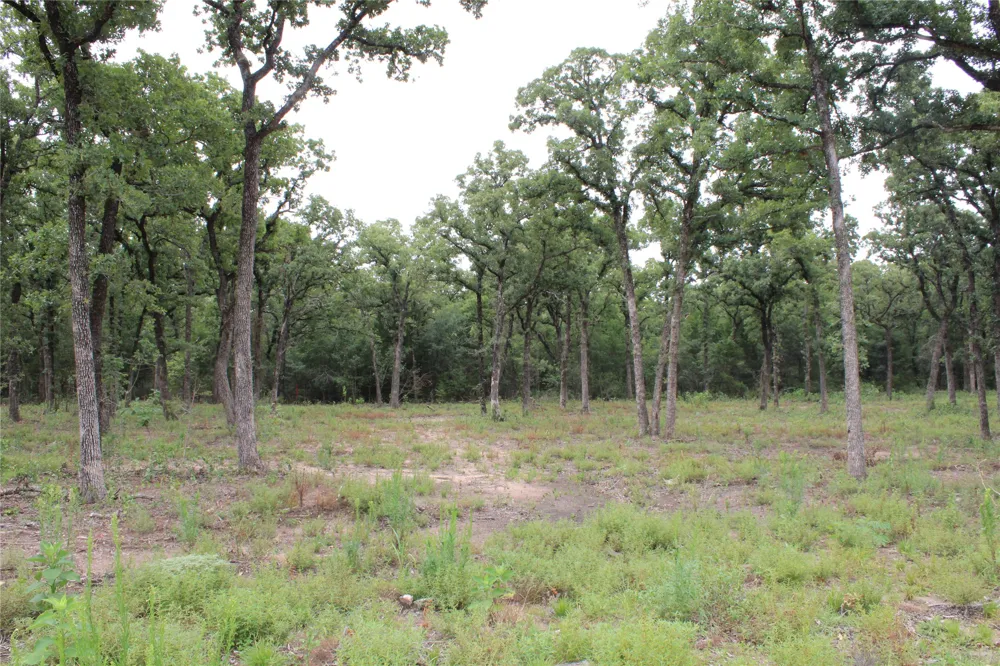 Tokio Loop West, TX 76691