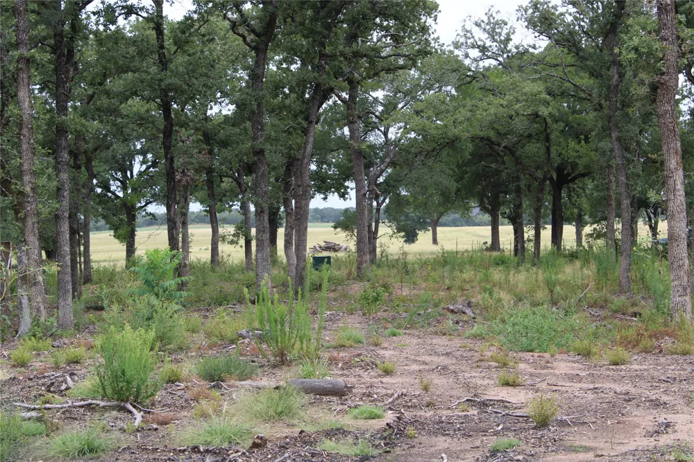Tokio Loop West, TX 76691