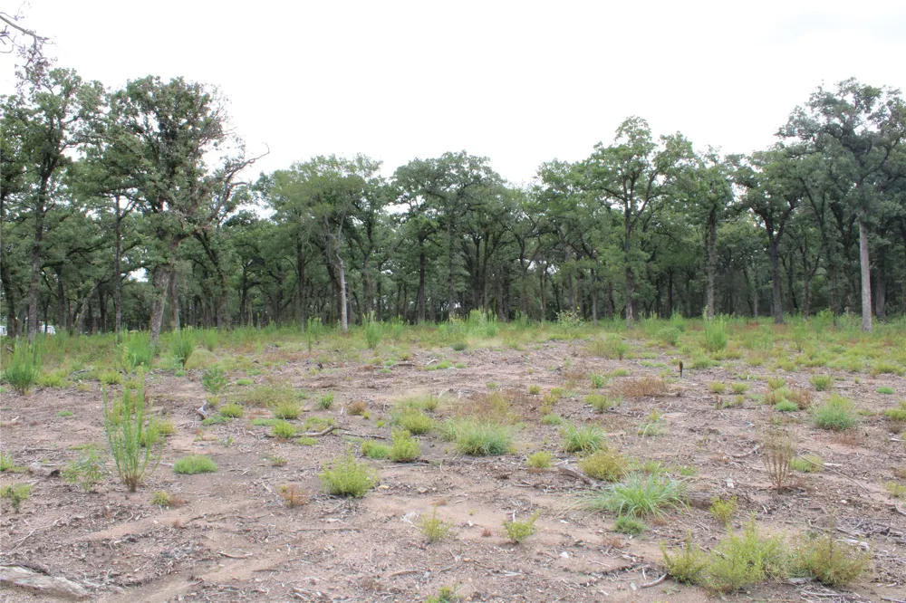Tokio Loop West, TX 76691