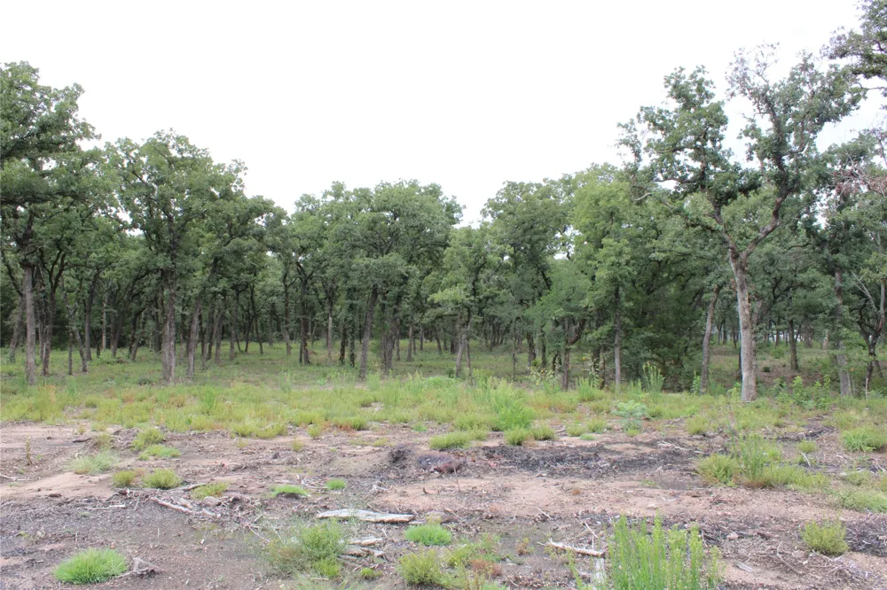 Tokio Loop West, TX 76691