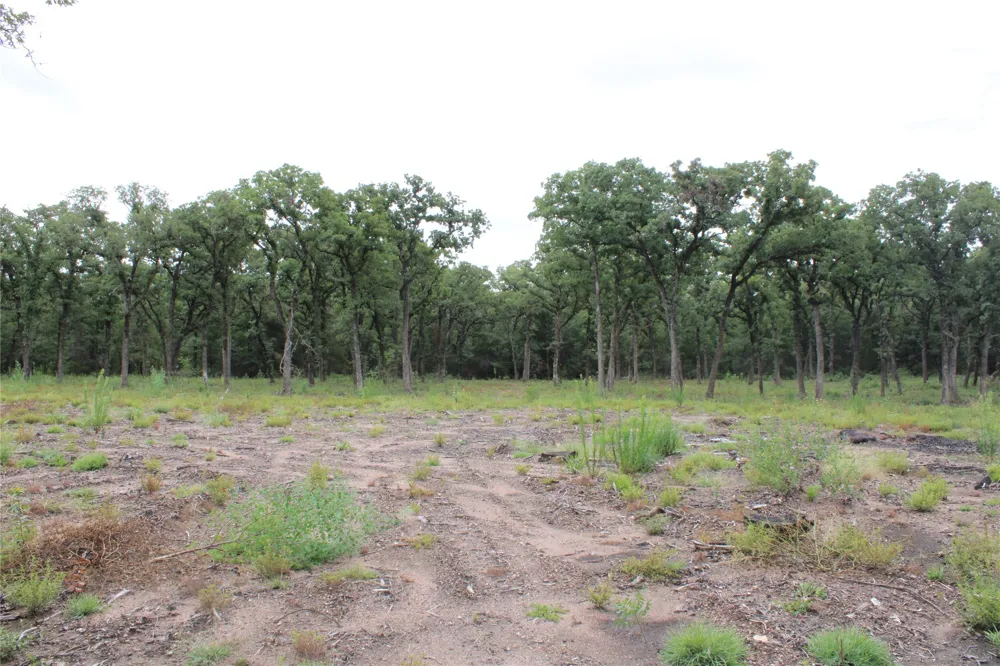 Tokio Loop West, TX 76691