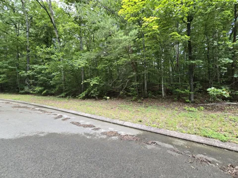 136 Lower Brow Road