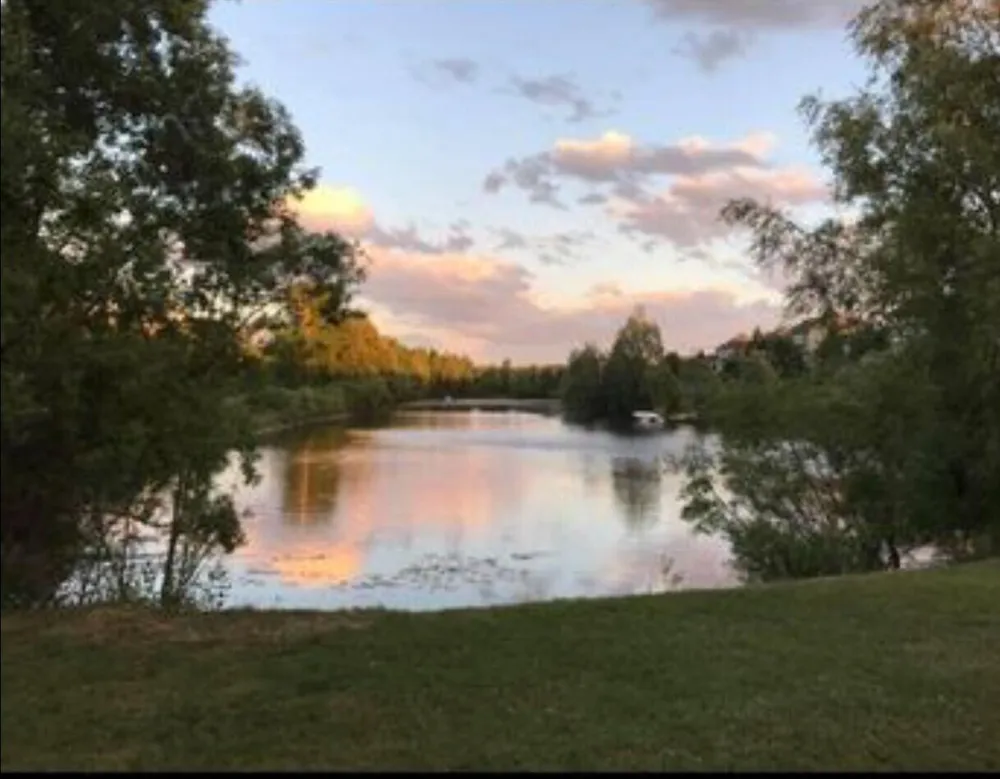 974 Dogwood Meadows Drive SE Ada Township, MI 49301
